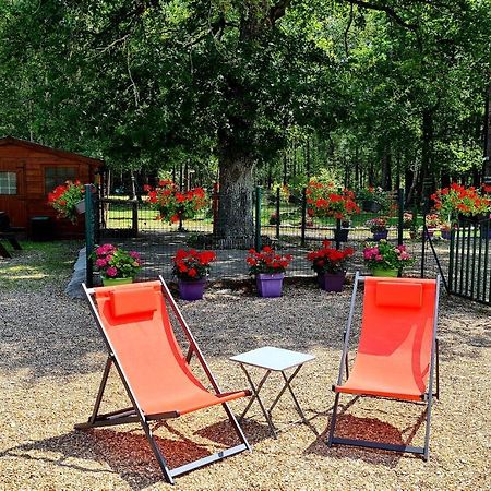 Отель Le Chalet Des Pins Rougeou Экстерьер фото