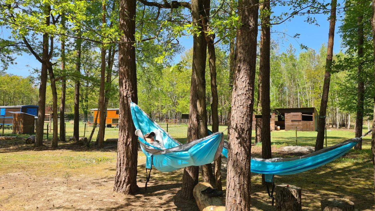 Отель Le Chalet Des Pins Rougeou Экстерьер фото